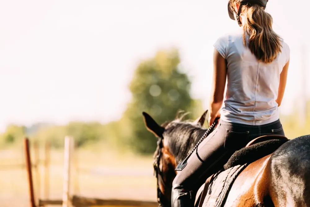 Équitation près de Vineuil