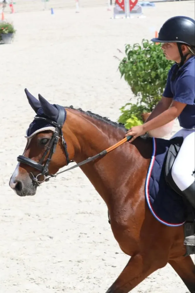 Poney club près de Vineuil